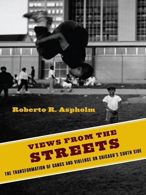 Title details for Views from the Streets by Roberto Aspholm - Wait list